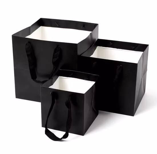 Custom Printed Jewelry Shopping Paper Gift Bag Luxury Gift Paper Bag with Logo Bronzing