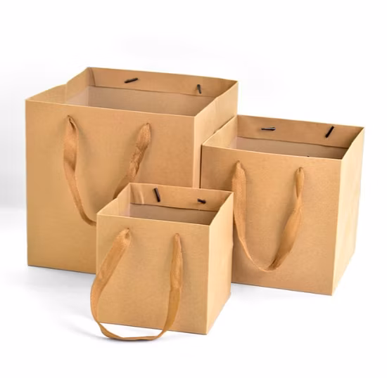 Custom Printed Jewelry Shopping Paper Gift Bag Luxury Gift Paper Bag with Logo Bronzing