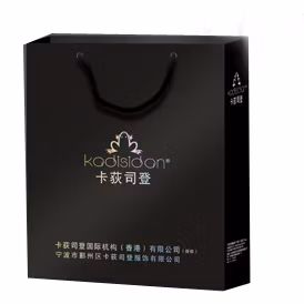 Bolsa de regalo de lujo, bolsa de compras de embalaje de papel personalizada/bolsa de papel para ropa