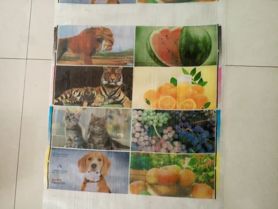 Impresora de bolsas no tejidas de 4 colores rollo a rollo para tela no tejida